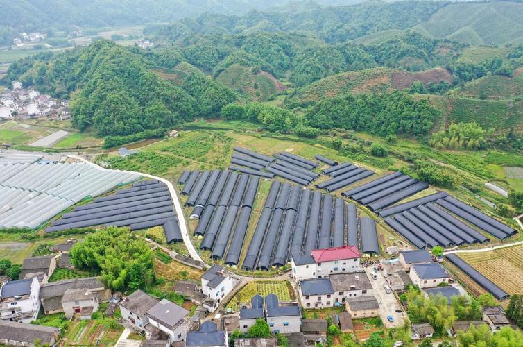 从重大工程到数据底座 黄山纪录小康与生物质能资源信息系统的协同路径