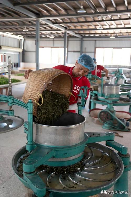 勐海茶厂普洱茶绿色设计数据库 链接原料溯源与生物质能管理的信息系统构建