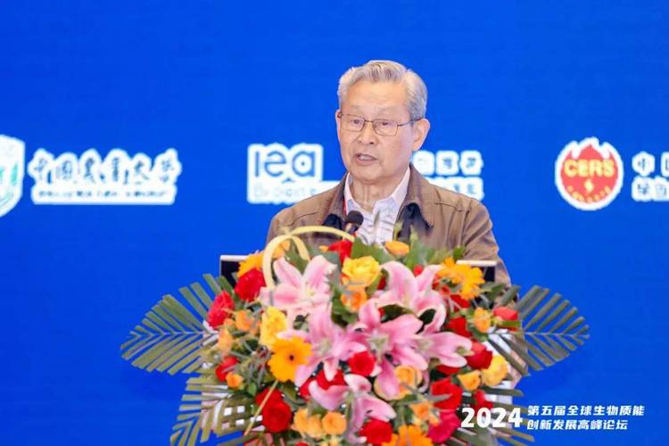 杜祥琬院士 绿色革命新篇章——提高生物质能战略地位势在必行，生物质能资源数据库信息系统建设至关重要